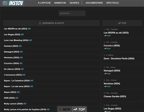 vizvop com|zivbod change de nom et devient instov.com.